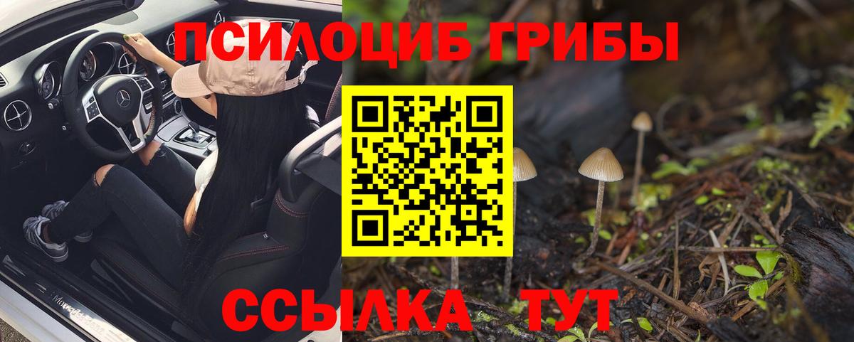 магазин  наркотиков  Псилоцибиновые грибы Cubensis  Галлюциногенные грибы ЛСД  Вход с VPN  Минеральные Воды 