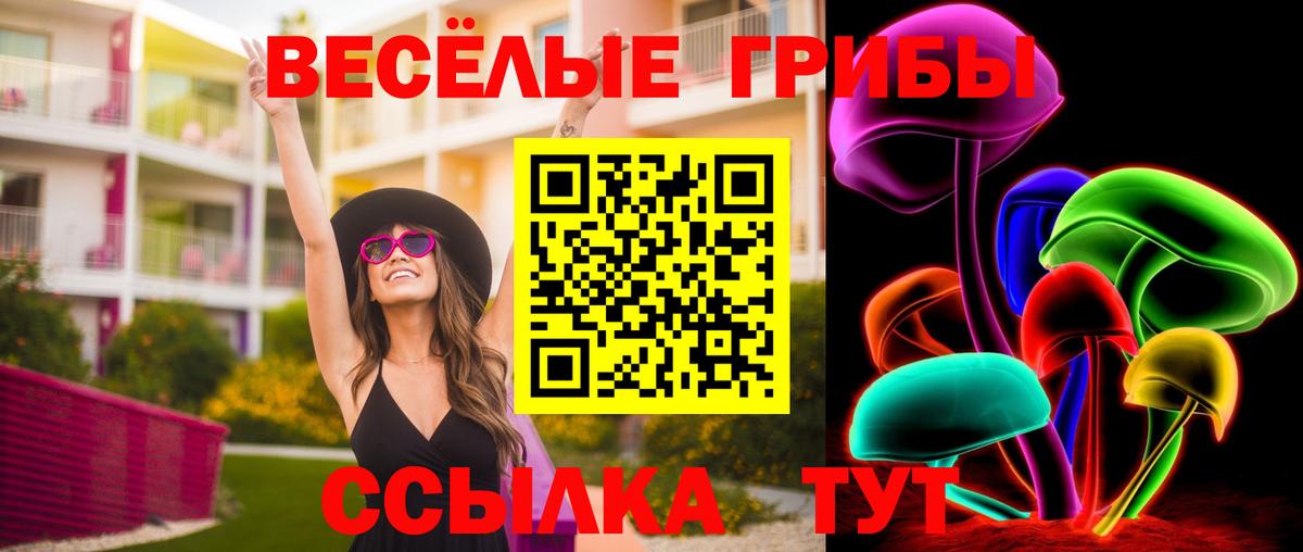 Псилоцибиновые грибы MAGIC MUSHROOMS Минеральные Воды